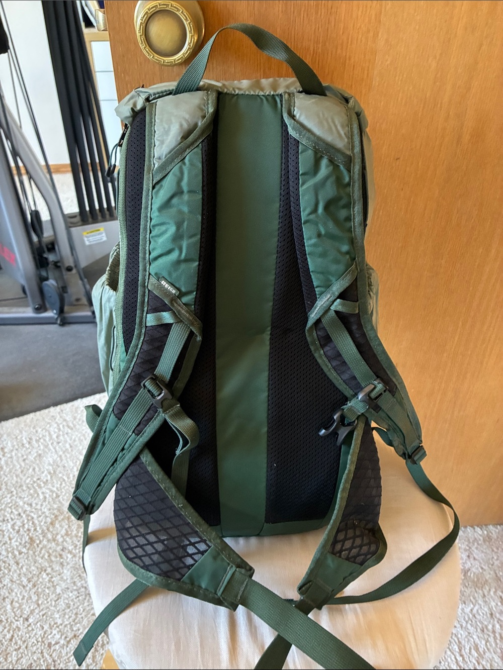 REI Flash 22 Daypack in Olive - Picture 3 of 5